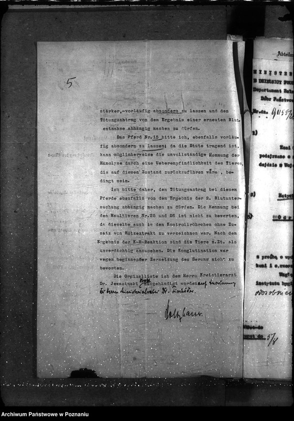 Obraz 9 z jednostki "Nosacizna - Bydgoszcz"