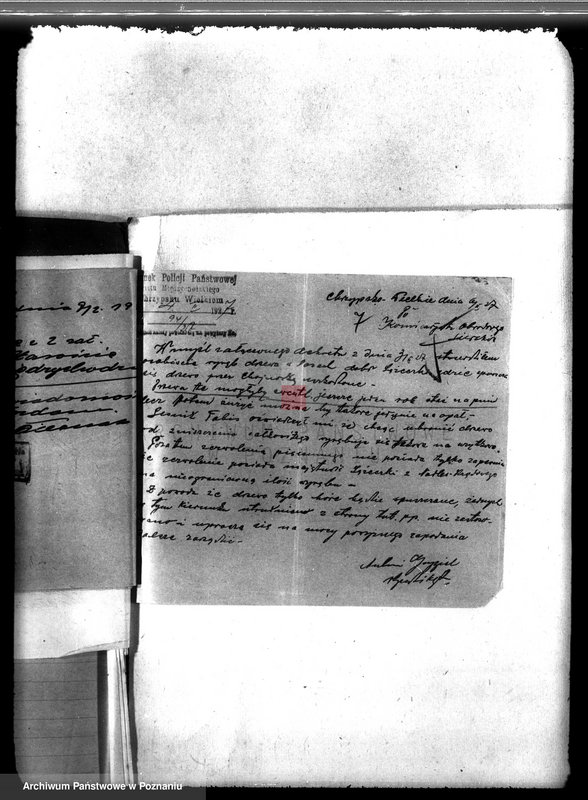 Obraz 11 z jednostki "Kościół katolicki Biezdrowo Łężeczki powiat międzychodzki /nadzór nad gospodarką leśną/"