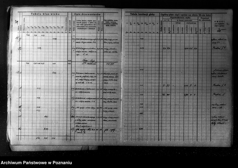 Obraz 17 z jednostki "/Plan urządzania gospodarstwa leśnego dla lasu majątku Turew powiatu kościańskiego 1933-1943/"