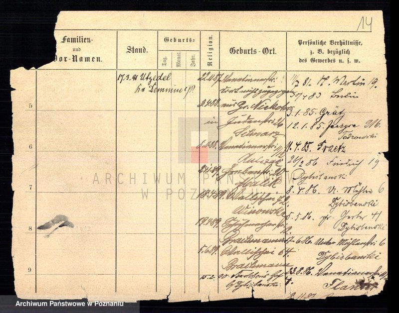 Obraz 16 z jednostki "Czapnik - Czarnecki"