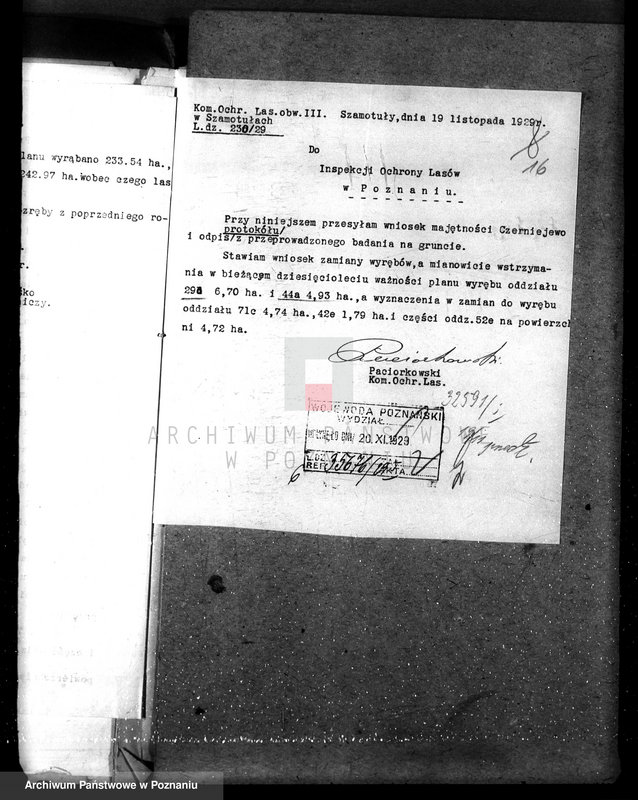 Obraz 20 z jednostki "Nadzór nad gospodarką w lasach majątku Czerniejewo powiecie gnieźnieńskim"