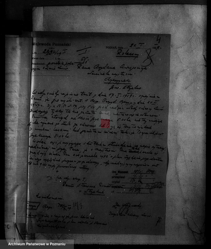 Obraz 9 z jednostki "/Majętność leśna Rzeszynek powiat mogileński"