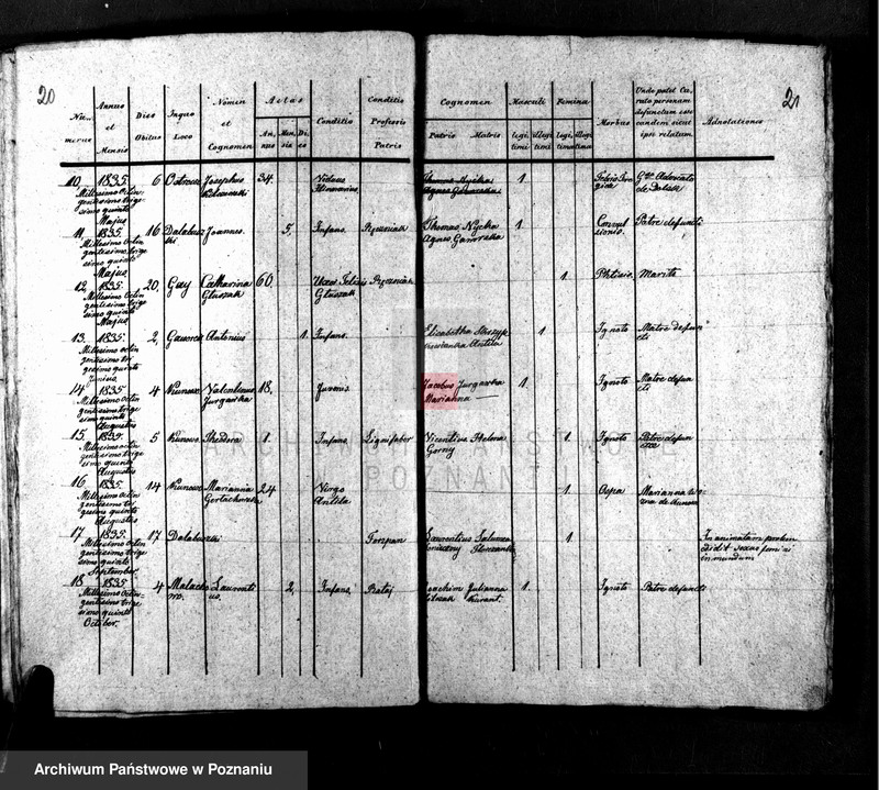 Obraz 13 z jednostki "Liber baptisatorum, copulatorum, mortuorum"