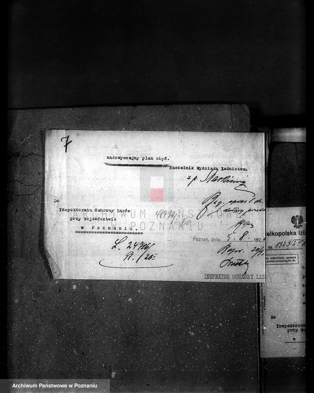 Obraz 11 z jednostki "Majętność leśna Potulice powiat wągrowiecki"