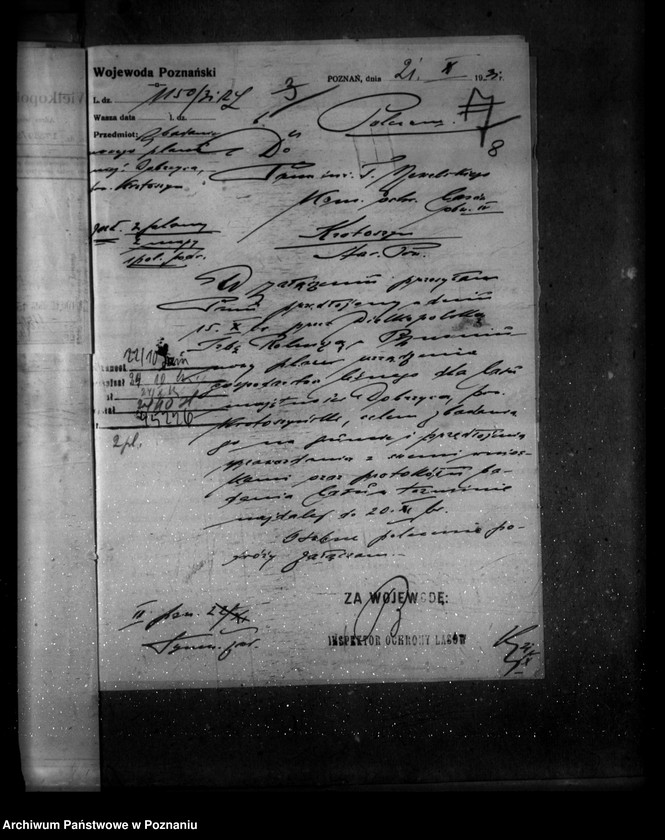 image.from.unit.number "Majętność leśna Dobrzyca powiat krotoszyński"