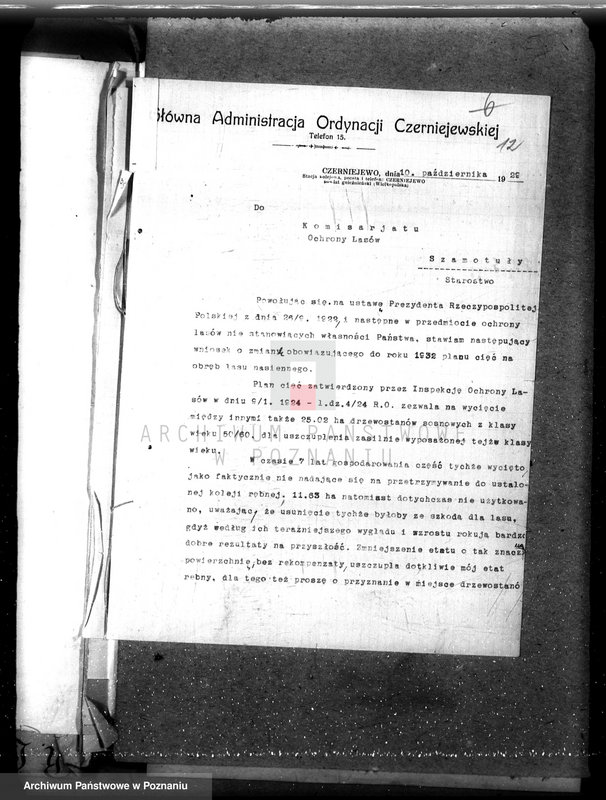 Obraz 16 z jednostki "Nadzór nad gospodarką w lasach majątku Czerniejewo powiecie gnieźnieńskim"