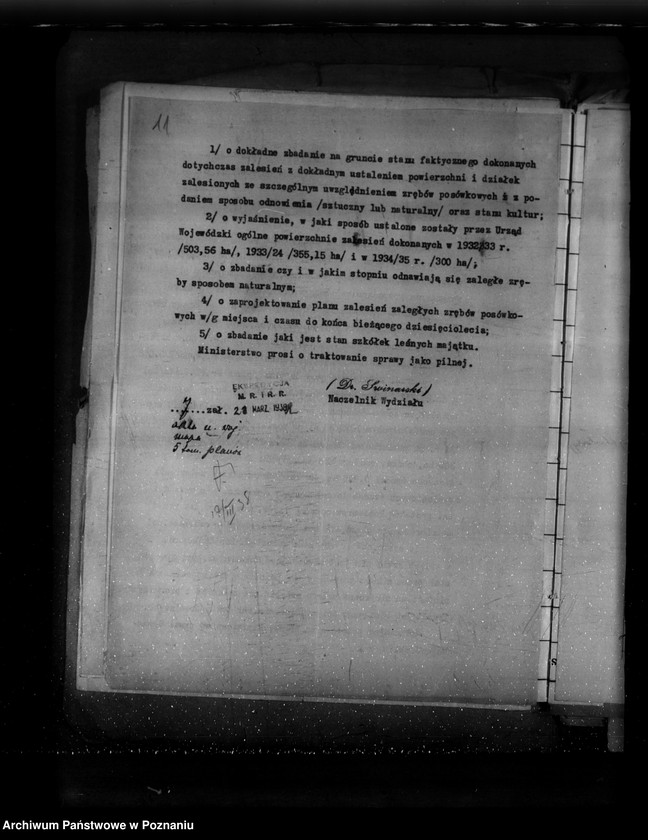 Obraz 17 z jednostki "Sprawa zalesienia majątku Krucz-Goraj"