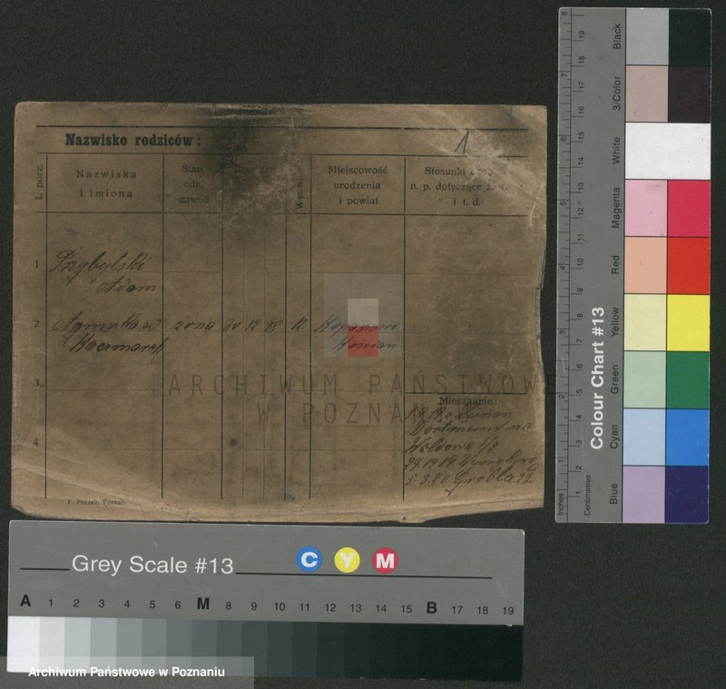 Obraz 3 z jednostki "Przybylski (żonaci - samotni mężczyźni do Gustaw)"