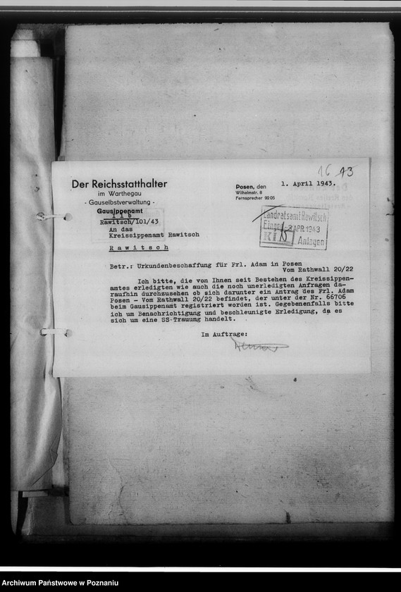 Obraz 20 z jednostki "[Korespondencja w sprawach organizacyjnych, sprawozdania z działalności], Kreissippenamt Rawitsch [Rawicz]"