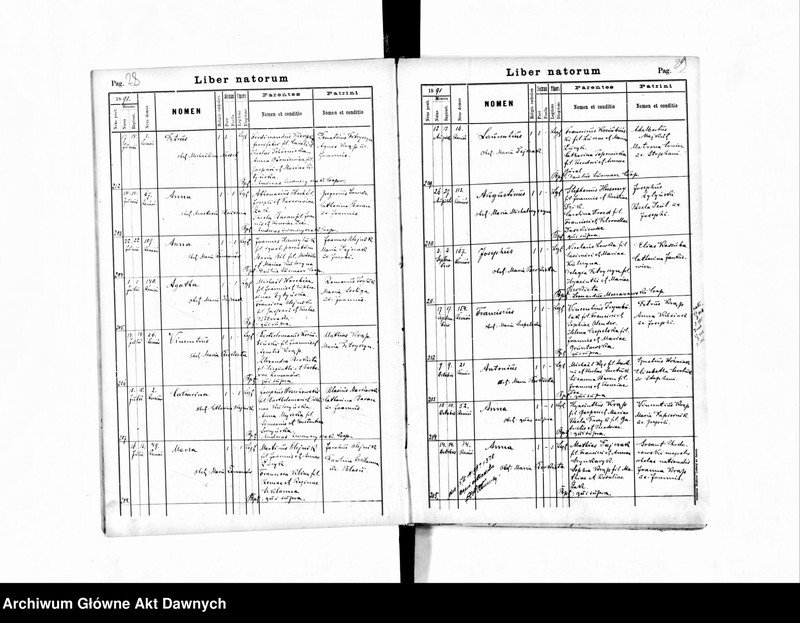 image.from.unit.number "Parafia: Załoźce. Dekanat: Brody. Księga metrykalna urodzeń, ślubów i zgonów dla miasta Załoźce i wsi: Białogłowy, Blich, Czystopady, Ditkowce*, Gontowa**, Hnidawa***, Horodyszcze****, Milno**, Mszaniec*, Neterpińce, Niżkowce, Nosowce****, Nowosiółka z Reniowem, Panasówka, Obarzańce z Zarudziem****, Podbereźce, Ratyszcze, Seretec, Trościaniec Wielki***, Wertełka****, Zagórze."