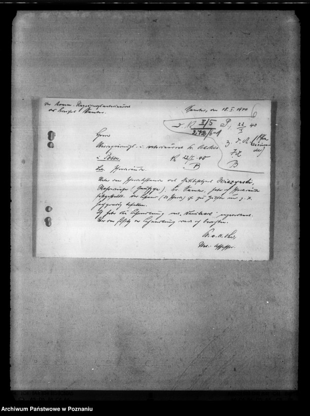 Obraz 10 z jednostki "Bekämpfung der Räude der Einhufer - Pferde, Gaszelle zur Behandlung räudekranker Pferde."