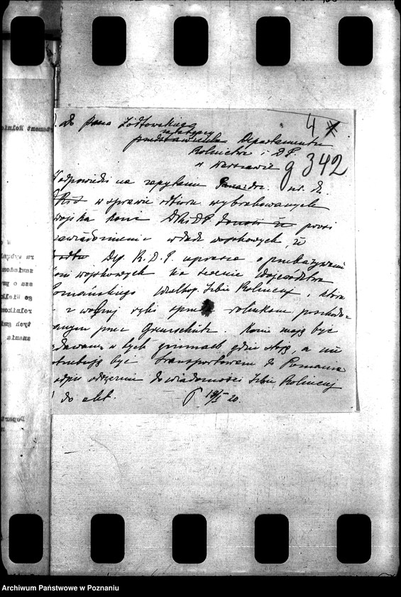 Obraz 8 z jednostki "Konie wojskowe dla ludności cywilnej"