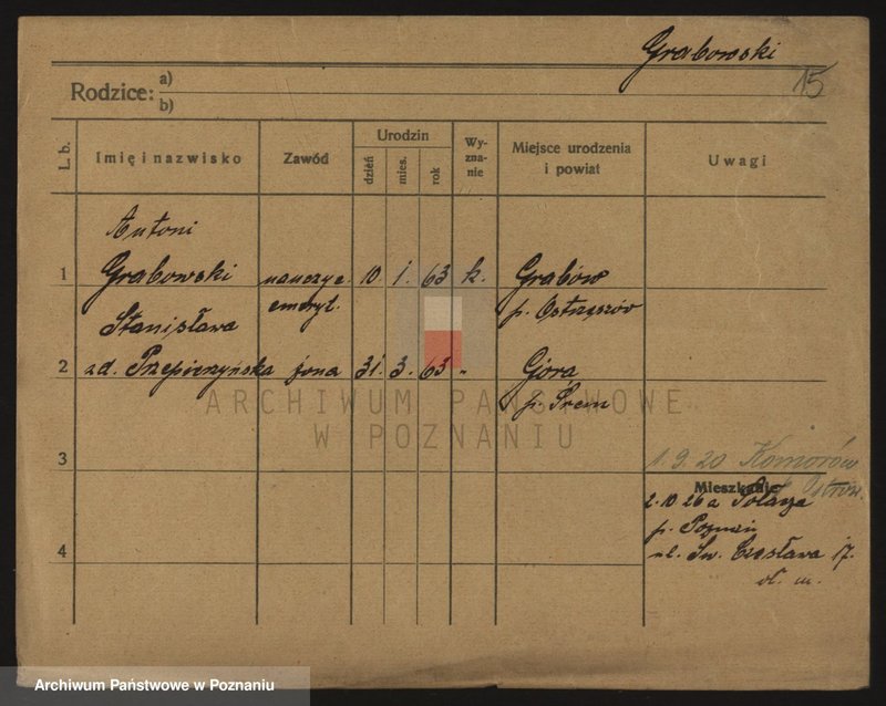 Obraz 17 z jednostki "Grabowski - Grabski"