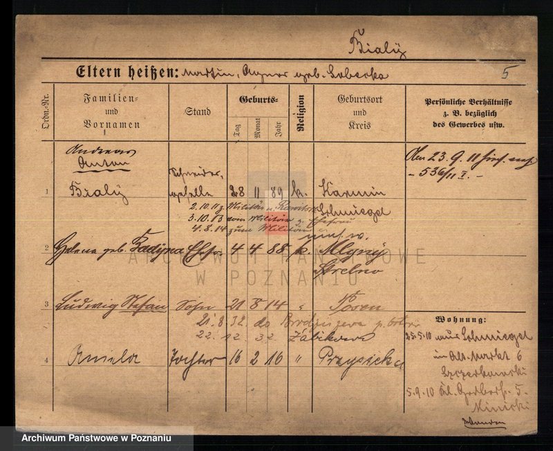 Obraz 9 z jednostki "Biały - Biedowicz"