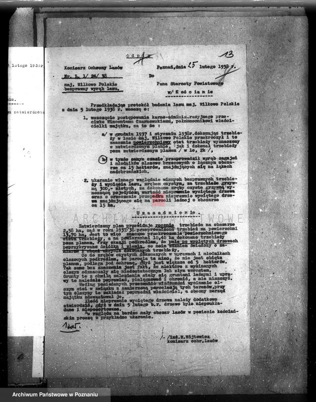 Obraz 19 z jednostki "Majętność /leśna/ Wilkowo Polskie powiat kościański"