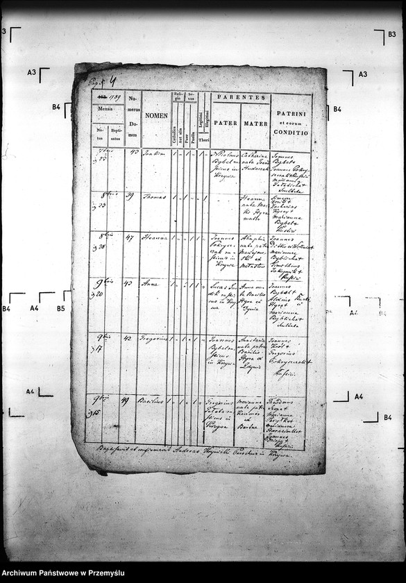 Obraz 8 z jednostki "[Kopie ksiąg metrykalnych parafii Krzywa z filią Banica (dekanat Gorlice)]"