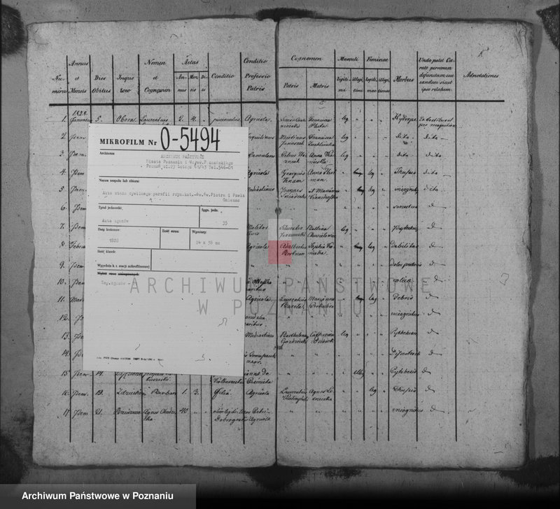 image.from.unit.number "Liber mortuorum"