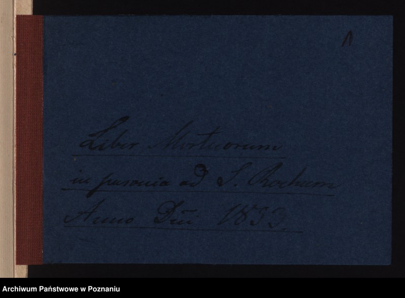 Obraz 3 z jednostki "Duplicat mortuorum"