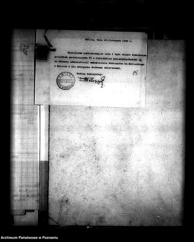 Obraz 19 z jednostki "Dodatkowy projekt parcelacyjny majątku Kwilcz powiatu międzychodzkiego"