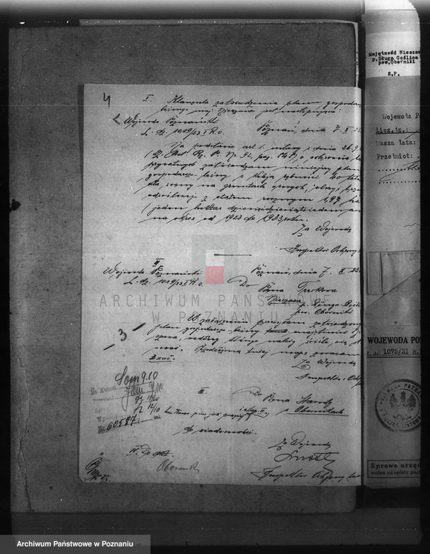 Obraz 8 z jednostki "Nadzór nad gospodarką w lasach majętności Nieszawa powiat obornicki"