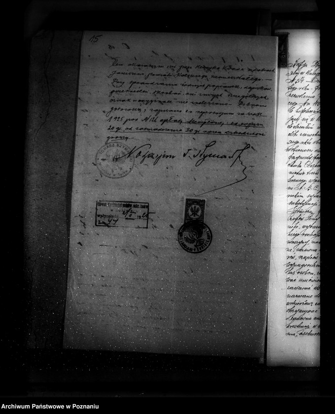 Obraz 20 z jednostki "Sprawa zatwierdzenia projektu planu gospodarstwa leśnego dla lasu majątku Czepów-Dolny powiat turecki"