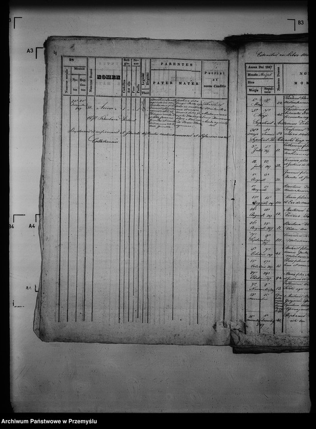 Obraz 9 z jednostki "[Kopie ksiąg metrykalnych parafii Mołoszkowice z filią Leśniowice (dekanat Jaworów)]"