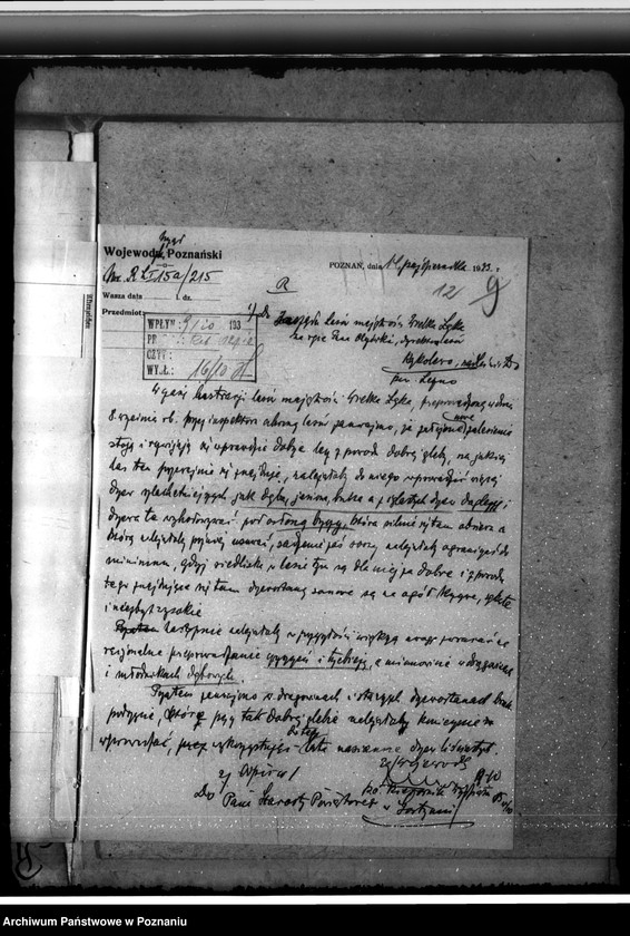 Obraz 16 z jednostki "Majętność leśna Łąka Wielka"