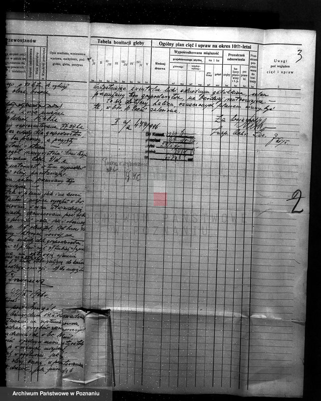 Obraz 7 z jednostki "Majętność leśna w Parzęcinie powiat kościański"