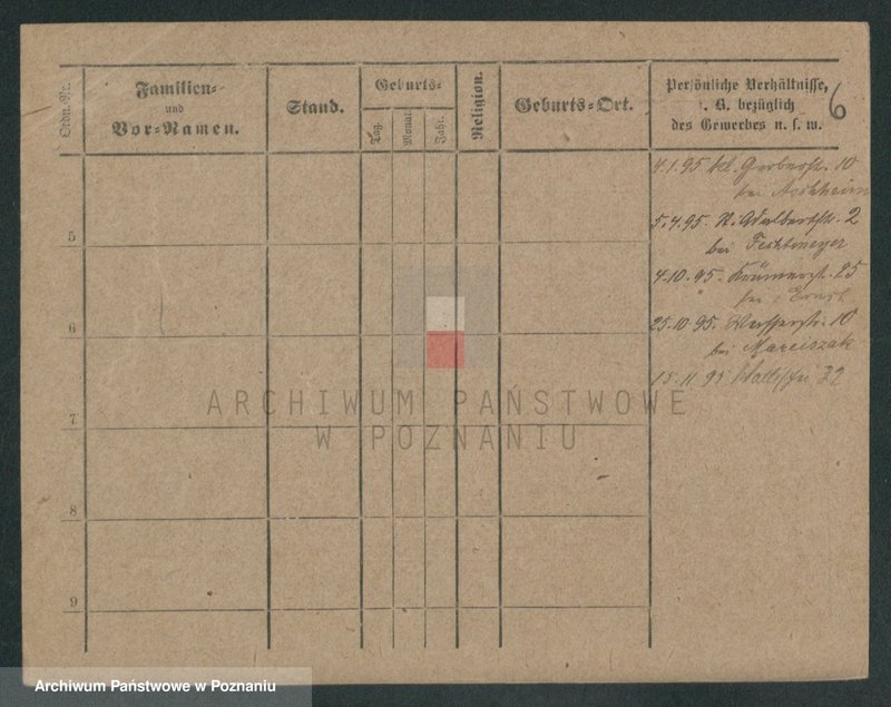 Obraz 14 z jednostki "Stawczyński - Stebner"