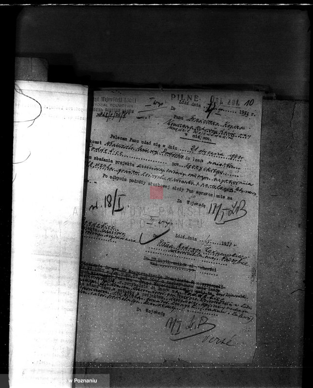 Obraz 14 z jednostki "Częściowa zmiana rodzaju użytkowania 5,83 ha gruntów leśnych w majątku Zalesin powiat turecki"