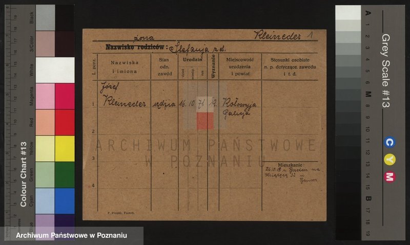 Obraz 1 z jednostki "Klajneder (Klein..) - Klapwyk"