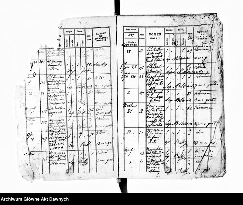 image.from.unit.number "Parafia: Czernielów Mazowiecki. Dekanat: Tarnopol. Księga metrykalna zgonów tylko dla wsi Borki Wielkie*."