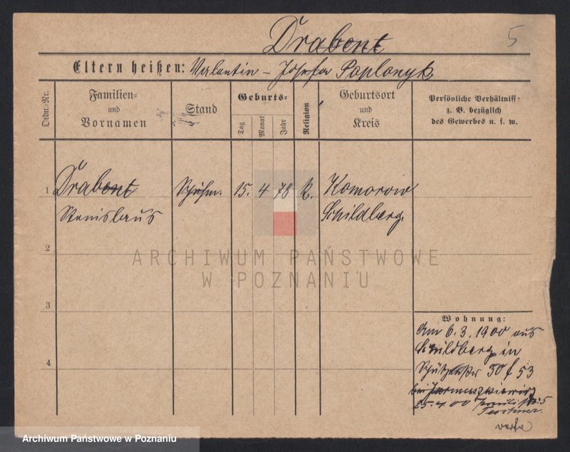 Obraz 7 z jednostki "Dornat - Drachowski"