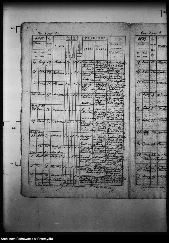Obraz 12 z jednostki "[Kopie ksiąg metrykalnych parafii Powroźnik (dekanat Muszyna)]"