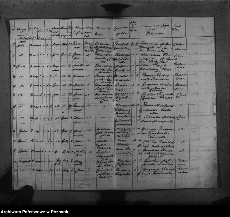 Obraz 10 z jednostki "Duplikat baptisatorum, copulatorum, mortuorum"