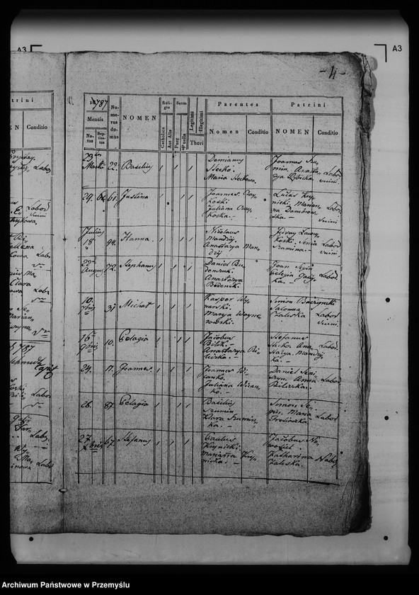 Obraz 9 z jednostki "[Kopie ksiąg metrykalnych parafii Krynica (dekanat Medenice)]"