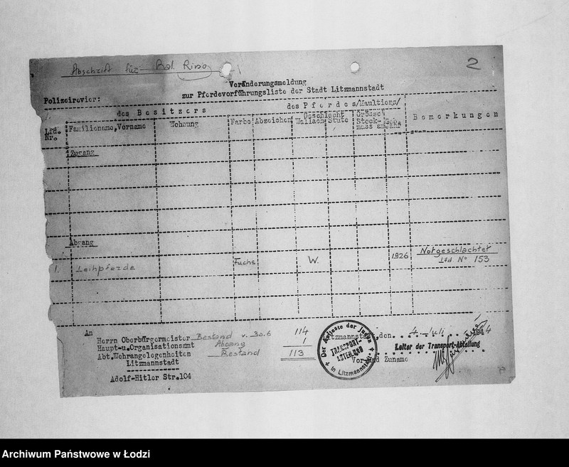 Obraz 5 z jednostki "Veränderungs-Meldungen [Korespondencja PSŻ z GV w sprawie pogłowia końskiego]"