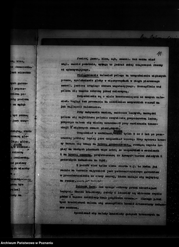 image.from.unit.number "Program urządzenia lasu majątku Zakrzewo powiat szamotulski 1937-1947"