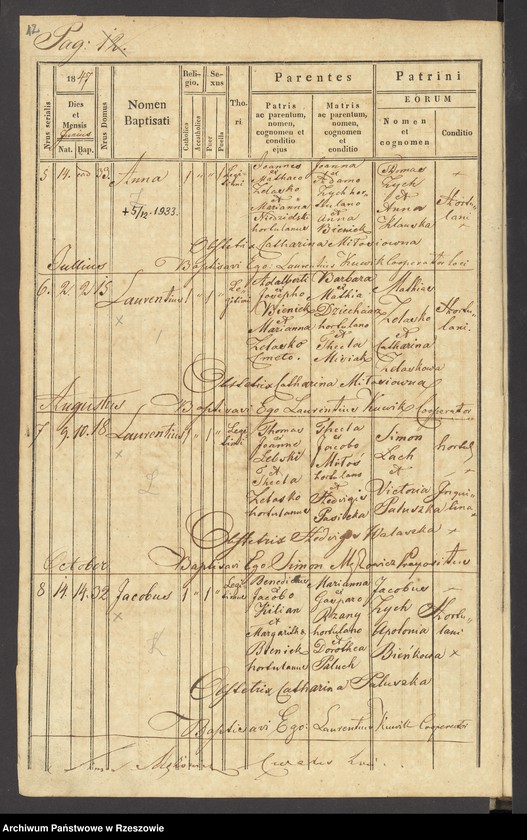 image.from.unit.number "Księga urodzeń dla miejscowości Wola Pławska"