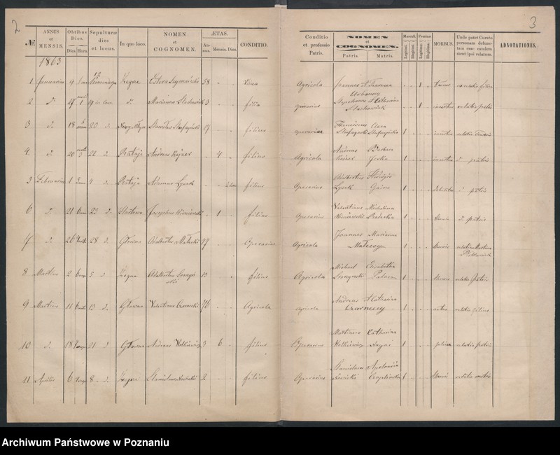 Obraz 3 z jednostki "Księga zgonów"