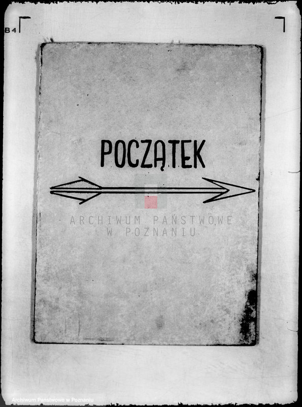 Obraz 3 z jednostki "/Policyjny Klub Sportowy w Środzie/"