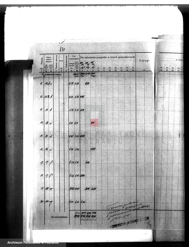 Obraz 20 z jednostki "Majętność leśna Drzeczkowo powiat leszczyński"