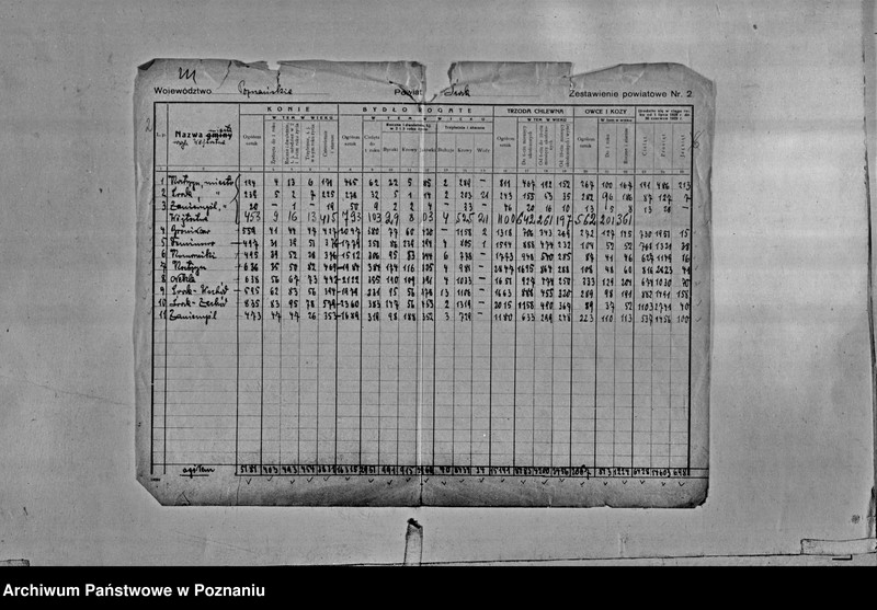 Obraz 4 z jednostki "/Statystyka produkcji rolnej - zestawienie liczby zwierząt gospodarczych z terenu powiatu średzkiego/"