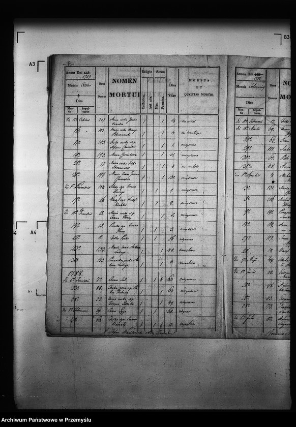 Obraz 18 z jednostki "[Kopie ksiąg metrykalnych parafii Zawadów (dekanat Niemirów)]"
