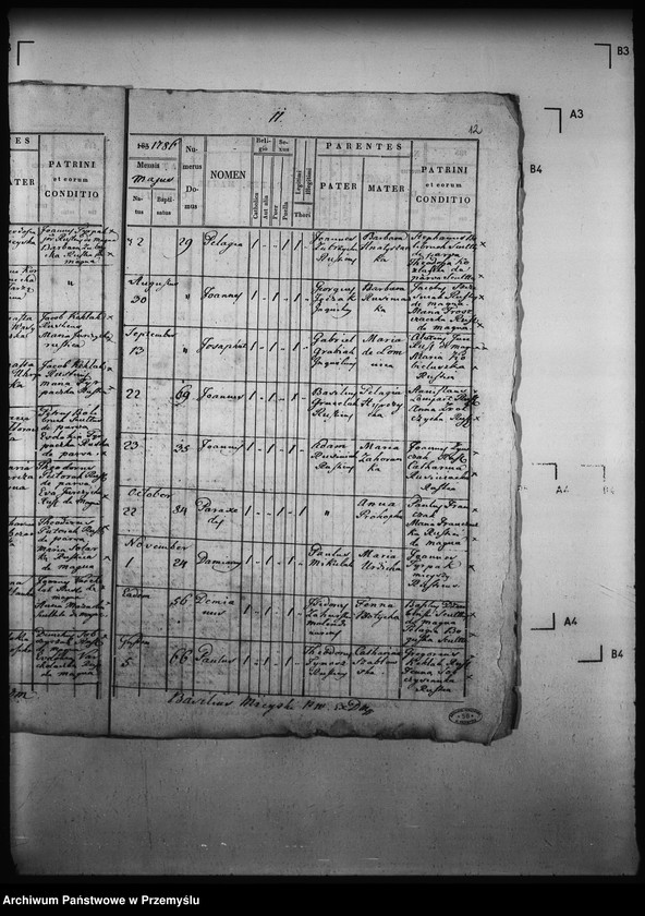 Obraz 16 z jednostki "[Kopie ksiąg metrykalnych parafii Wierzchomla Wielka z filiami Wierzchomla Mała, Zubrzyk (dekanat Muszyna)]"