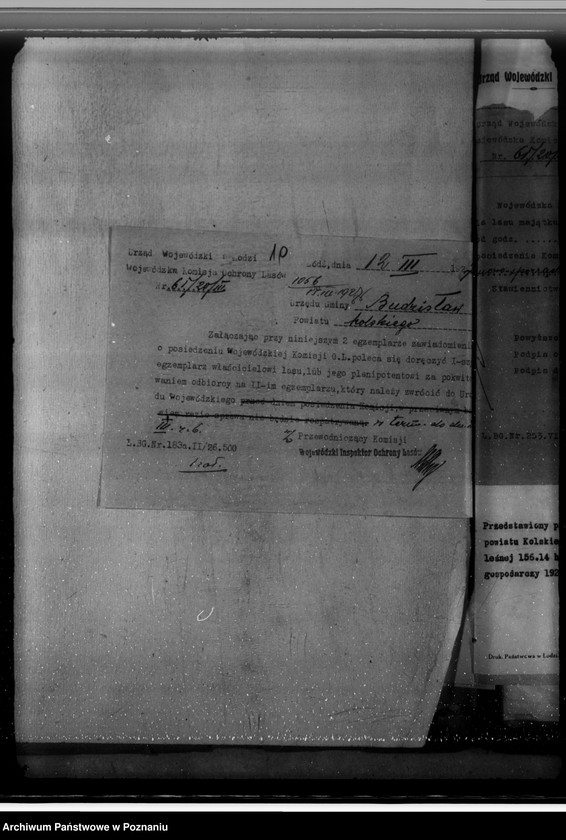 Obraz 14 z jednostki "Zatwierdzenie nowo sporządzonego projektu planu gospodarstwa dla majątku Osiek-Mały powiat kolski gmina Budzisław"