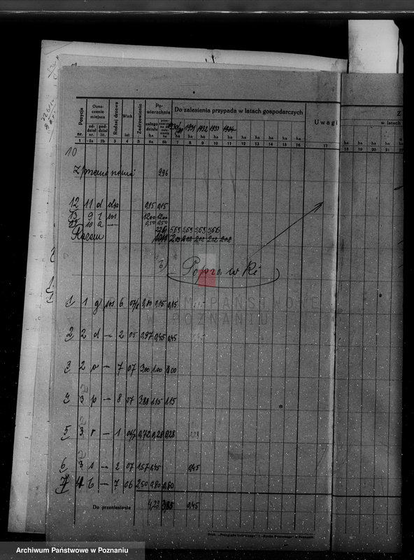 Obraz 14 z jednostki "/Nadzór nad gospodarką leśną w majętności Hutka w powiecie czarnkowskim"