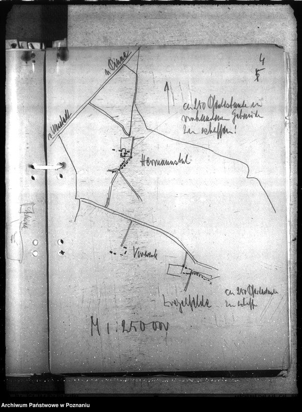Obraz 8 z jednostki "Pferdedepot der Polizei - Hermanntal bei Neustadt (Posadowo, powiat Nowy Tomyśl) I"