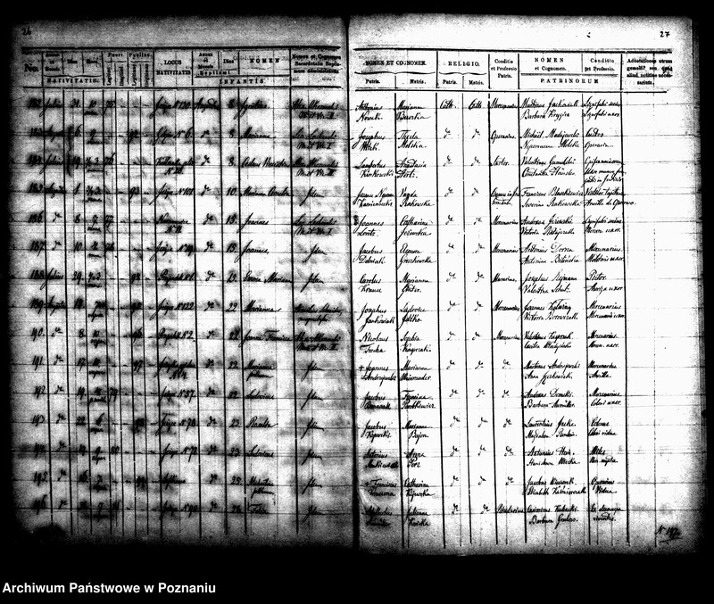 Obraz 17 z jednostki "Księga urodzin"