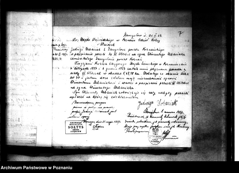 Obraz 11 z jednostki "Parcelacja lasu Witobel XV powiatu poznańskiego Jadwiga Urbaniak"